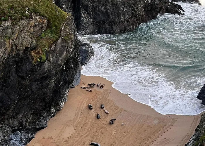 St Kew Escapes Nr Port Isaac